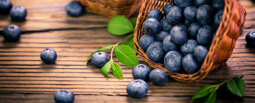 blueberries are a great food for alzheimers