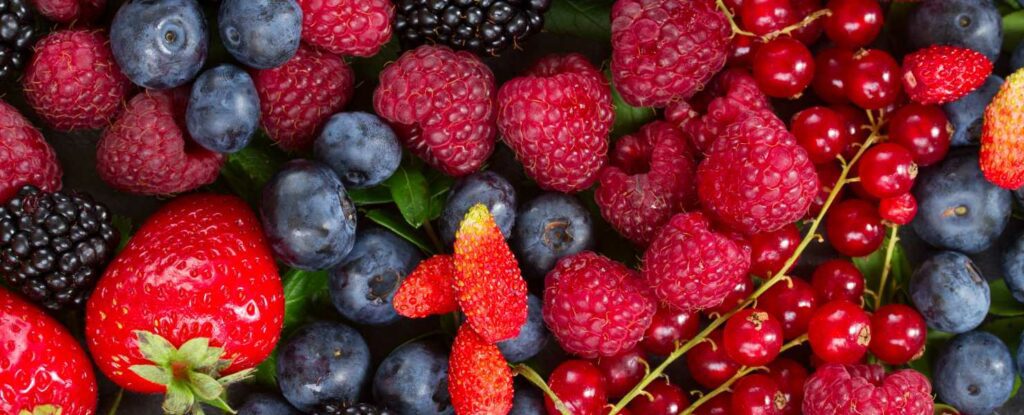 healthy diets for 50 year olds include plenty of berries