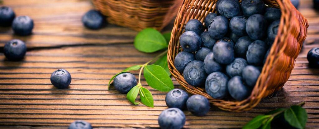 blueberries are good for your brain