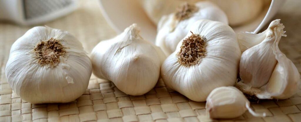 it may leave you with stinky breath, but garlic is a very healthy spice